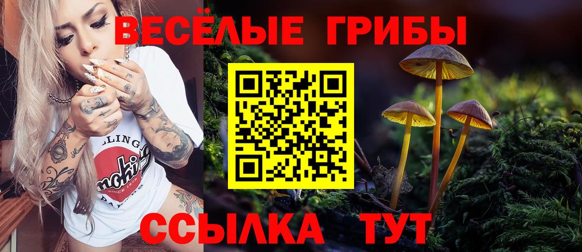 Псилоцибиновые грибы мухоморы Гусиноозёрск