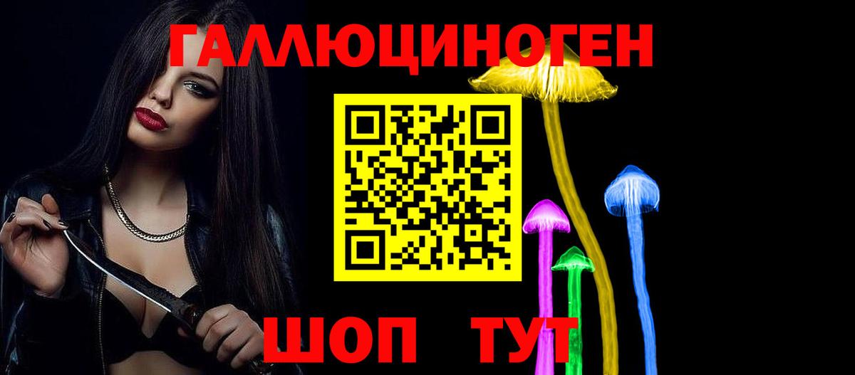 Гусиноозёрск  Галлюциногенные грибы мухоморы  купить закладку  Вход с VPN 